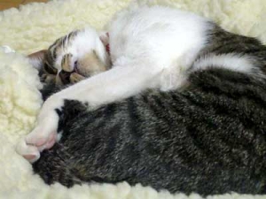 Thumbnail of post image 028