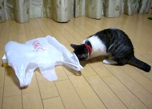 Thumbnail of post image 065