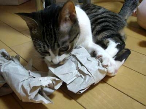Thumbnail of post image 124