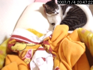 Thumbnail of post image 167