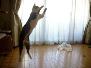Thumbnail of post image 027