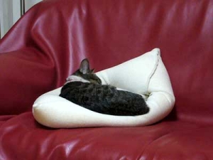 Thumbnail of post image 056