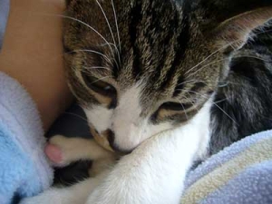 Thumbnail of post image 034