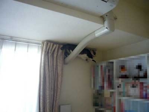 Thumbnail of post image 055