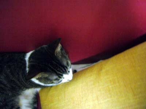 Thumbnail of post image 084