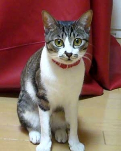 Thumbnail of post image 101
