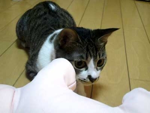 Thumbnail of post image 075