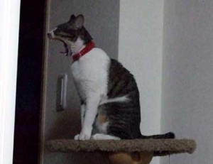 Thumbnail of post image 089