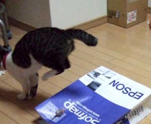 Thumbnail of post image 021