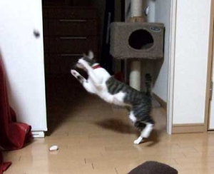 Thumbnail of post image 136
