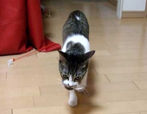 Thumbnail of post image 177