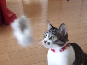 Thumbnail of post image 044