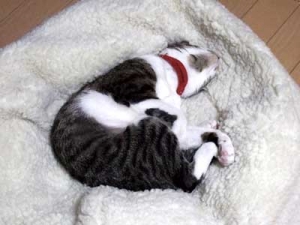Thumbnail of post image 133