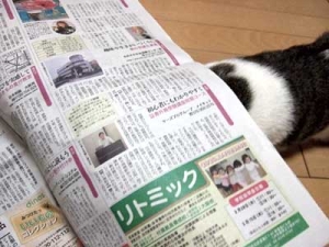 Thumbnail of post image 097