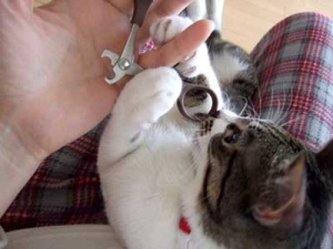 Thumbnail of post image 067