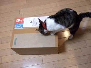 Thumbnail of post image 129