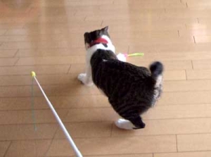 Thumbnail of post image 009