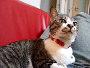 Thumbnail of post image 005