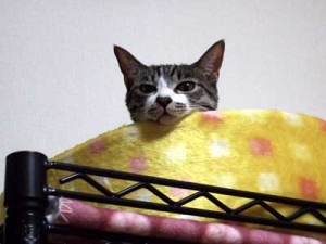 Thumbnail of post image 078