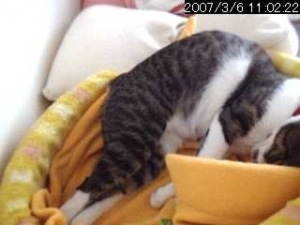 Thumbnail of post image 058