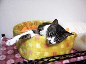 Thumbnail of post image 006