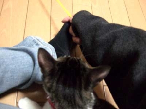 Thumbnail of post image 165
