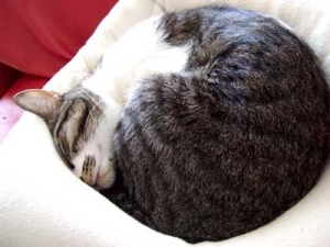 Thumbnail of post image 045