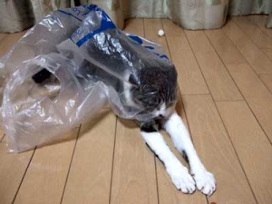 Thumbnail of post image 094