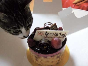 Thumbnail of post image 050
