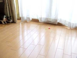 Thumbnail of post image 076