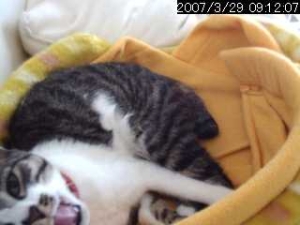 Thumbnail of post image 074