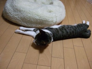 Thumbnail of post image 021