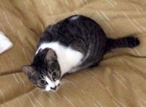 Thumbnail of post image 169