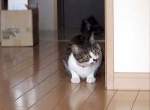 Thumbnail of post image 029