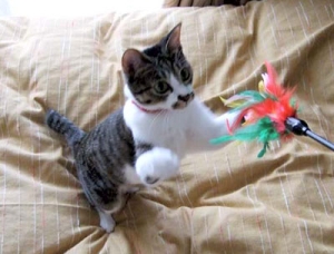 Thumbnail of post image 127