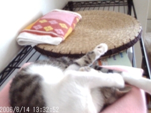 Thumbnail of post image 034