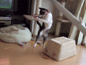 Thumbnail of post image 043