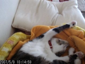 Thumbnail of post image 046