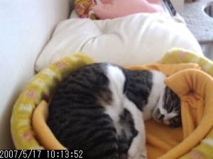 Thumbnail of post image 160