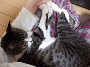 Thumbnail of post image 162