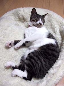 Thumbnail of post image 037