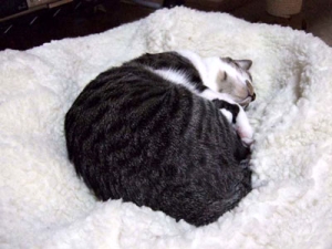 Thumbnail of post image 060