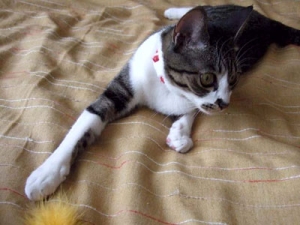 Thumbnail of post image 048