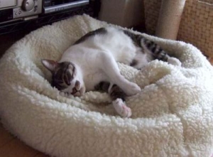 Thumbnail of post image 043