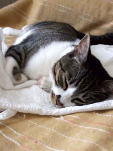 Thumbnail of post image 001