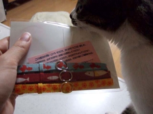 Thumbnail of post image 128