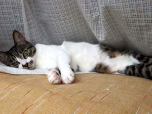 Thumbnail of post image 116