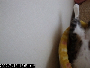 Thumbnail of post image 070