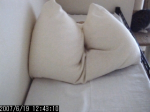 Thumbnail of post image 019