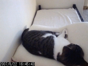 Thumbnail of post image 192